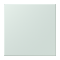 blank centre plate LC32034 - JUNG (pavadinimas tikslinamas)