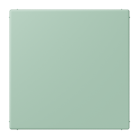 blank centre plate LC32041 - JUNG (pavadinimas tikslinamas)