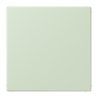 blank centre plate LC32042 - JUNG (pavadinimas tikslinamas)