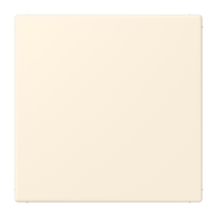 blank centre plate LC4320B - JUNG (pavadinimas tikslinamas)