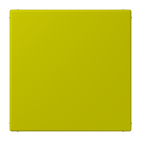 blank centre plate LC4320F - JUNG (pavadinimas tikslinamas)