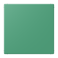 blank centre plate LC4320G - JUNG (pavadinimas tikslinamas)