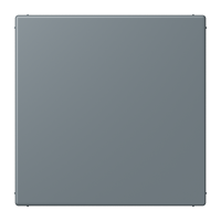 blank centre plate LC4320H - JUNG (pavadinimas tikslinamas)