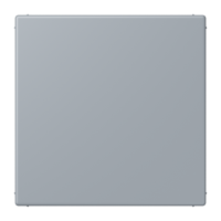 blank centre plate LC4320O - JUNG (pavadinimas tikslinamas)