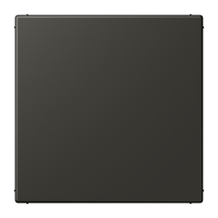 blank centre plate LC4320R - JUNG (pavadinimas tikslinamas)
