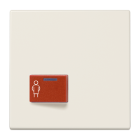 Cover plate for Ackermann - JUNG (pavadinimas tikslinamas)