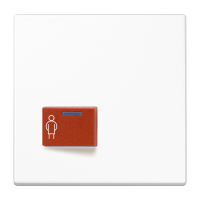 Cover plate for Ackermann - JUNG (pavadinimas tikslinamas)