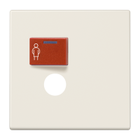 Cover plate for Ackermann - JUNG (pavadinimas tikslinamas)