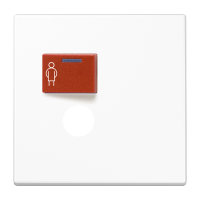 Cover plate for Ackermann - JUNG (pavadinimas tikslinamas)