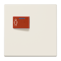 Cover plate for Ackermann - JUNG (pavadinimas tikslinamas)