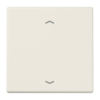 Rocker for push-button 1-gang, arrows - JUNG (pavadinimas tikslinamas)