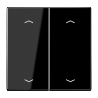 Rocker for push-button 2-gang, arrows - JUNG (pavadinimas tikslinamas)
