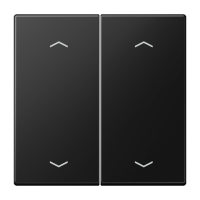 Rocker for push-button 2-gang, arrows - JUNG (pavadinimas tikslinamas)