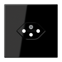 centre plate - JUNG (pavadinimas tikslinamas)