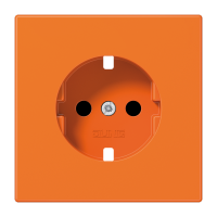 centre plate - JUNG (pavadinimas tikslinamas)