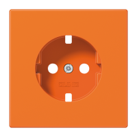 centre plate - JUNG (pavadinimas tikslinamas)