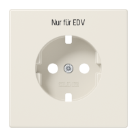 centre plate - JUNG (pavadinimas tikslinamas)