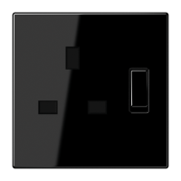 switched socket - JUNG (pavadinimas tikslinamas)