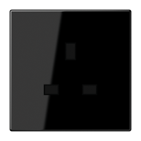 BS socket - JUNG (pavadinimas tikslinamas)