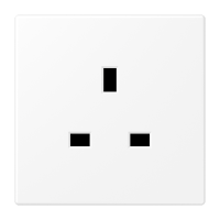 BS socket - JUNG (pavadinimas tikslinamas)