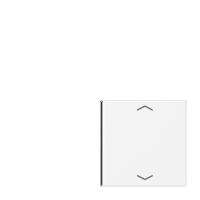 Cover 4-gang with sym. for button 1+4 - JUNG (pavadinimas tikslinamas)