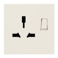 combo switched socket insert - JUNG (pavadinimas tikslinamas)