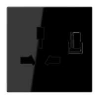 combo switched socket insert - JUNG (pavadinimas tikslinamas)