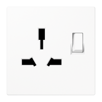 combo switched socket insert - JUNG (pavadinimas tikslinamas)