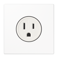 Us-Nema Socket 15A - JUNG (pavadinimas tikslinamas)