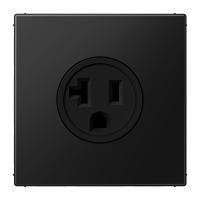 Us-Nema Socket 20A - JUNG (pavadinimas tikslinamas)