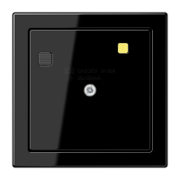 FI switch (RCD 30 mA) - JUNG (pavadinimas tikslinamas)