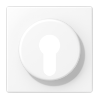 centre plate f. key switch - JUNG (pavadinimas tikslinamas)