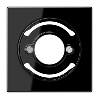 centre plate for light signal - JUNG (pavadinimas tikslinamas)
