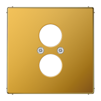 centre plate for 2 loudspeaker sockets - JUNG (pavadinimas tikslinamas)