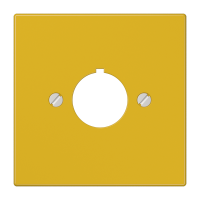 centre plate - JUNG (pavadinimas tikslinamas)