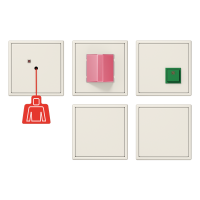Emergency system set - JUNG (pavadinimas tikslinamas)