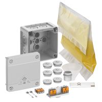Dėžutė v/t [92x92x60] IP68 su gnybtais ir sandarinimo geliu 3x2.5mm2 pilka be halogenų AboxProXTSLK-2.5 - SPELSBERG