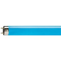 Lempa TL-D Colored 36W Blue 1SL/25Lempa LED 2700K 806lm CorePro LEDCandle ND6.5-60W B35E14827CLG - PHILIPS (pavadinimas tikslinamas)