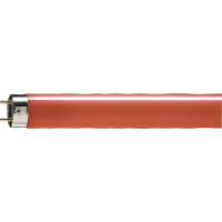 Lempa TL-D Colored 36W Red 1SL/25Lempa LED 2700K 250lm CorePro LEDCandleND2-25W ST35 E14 827CLG - PHILIPS (pavadinimas tikslinamas)