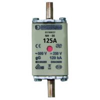 Saugiklis 125A 120kA 500V gG PSI NH00 - PROTEC