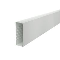 Kabelinis kanalas perforuotu dugnu 60x170x2000 Polivinilo chloridas šviesiai pilka RAL 7035 WDK60170LGR - OBO BETTERMANN (pavadinimas tikslinamas)