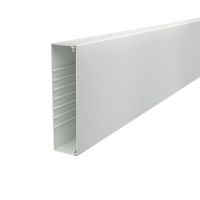 Kabelinis kanalas perforuotu dugnu 60x230x2000 Polivinilo chloridas šviesiai pilka RAL 7035 WDK60230LGR - OBO BETTERMANN (pavadinimas tikslinamas)