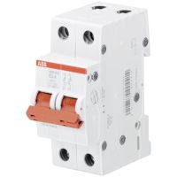 SHD202/16 KIRTIKLIS 2P 16A - ABB (pavadinimas tikslinamas)