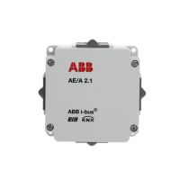 AE/A2.1 ANALOGINĖ ĮVESTIS, 2K. - ABB (pavadinimas tikslinamas)