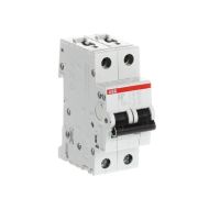 S202-D08 AUT. JUNGIKLIS 8A 2P - ABB (pavadinimas tikslinamas)