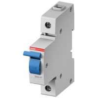 S800-NT NEUTRALĖ - ABB (pavadinimas tikslinamas)