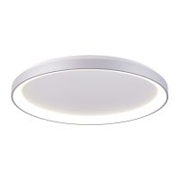 Šviestuvas v/t LED 60W 3000K/4000K 4800lm/4900lm D-780mm H-60mm dimeriuojamas sidabrinės spalvos MEROPE - DEKO LIGHT