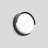 Šviestuvas v/t LED 27.2W IP65 3000K 2360lm D-350mm H-100mm grafito spalvos BRA DALI - BEGA