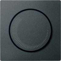 Dangtelis greičio reguliatoriui antracito spalvos System M - SCHNEIDER ELECTRIC