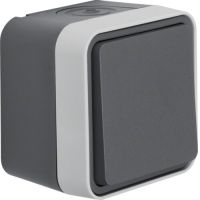 Perjungiklis v/t viengubas IP55 pilkos matinės spalvos 10A 250V W.1 - BERKER